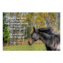 Recherche de étalon noir posters Cheval