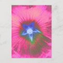 Suche nach velvet postkarten Blumenreich