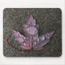 Suche nach regentropfen mousepads Blatt