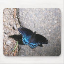 Suche nach rote schmetterlinge mousepads Admiral