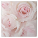 Suche nach rose pink fliesen Rosa rosen