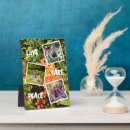 Recherche de botanique plaques Pour eux