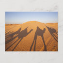 Recherche de tunisien cartes postales Chameau