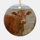 Recherche de animal de ferme ornements Cowboy