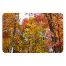 Recherche de arbre orange magnets Forêt