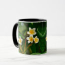Suche nach frangipani tassen Tropisch