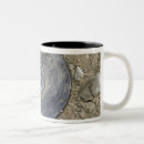 Recherche de simulation tasses Militaire
