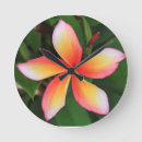 Suche nach frangipani wanduhren Flower