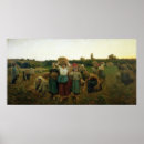 Suche nach clog poster Haystack