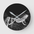 Recherche de lézards horloges Animal