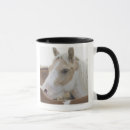 Recherche de troupeau de chevaux tasses Animal