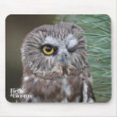 Recherche de oiseaux proie tapis souris Oiseaux et fleurs