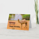Recherche de camel vœux cartes Faune