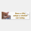 Suche nach orange katze autoaufkleber Schutz
