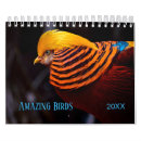 Suche nach birds kalender Bunt