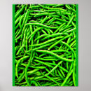 Suche nach grüne bohnen poster Hülsenfrüchte