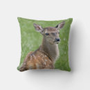 Suche nach bambi kissen Baby