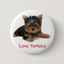 Recherche de yorkie badges Chiot