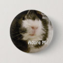 Suche nach meerschweinchen buttons Haustiere