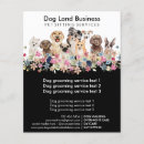 Suche nach hunde flyer Tierärztlich