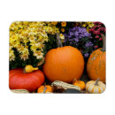 Recherche de assortiment magnets Coloré