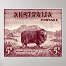 Suche nach australischer schäfer poster Vintag