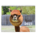 Suche nach alpaka kalender Tiere