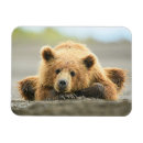 Suche nach niedliche bären magnete Niedliches baby