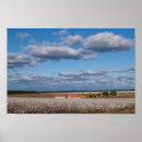 Suche nach baumwollfelder poster Landwirtschaft