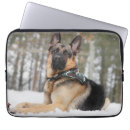 Suche nach schneehund Haustier