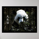 Recherche de panda chinois posters Pandas