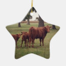 Suche nach weide ornamente Kühe