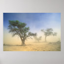 Suche nach der kalahari poster Africa