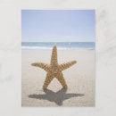 Suche nach nantucket poster Usa