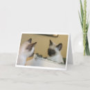 Suche nach spiegel karten Niedlich