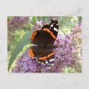 Recherche de amiral cartes postales Photographie