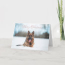 Suche nach schneehund karten Urlaub