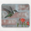 Suche nach winde mousepads Fotografie