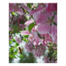 Recherche de pollinisation posters Fleur