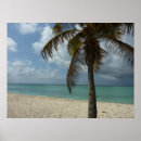 Suche nach beautiful nature poster Tropisch