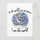 Recherche de cane corso cartes postales Dog