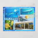 Recherche de beluga cartes postales Aquarium
