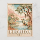 Suche nach reiher postkarten Florida