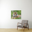 Suche nach exotische katzen poster Tiere