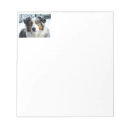 Recherche de australien blocsnotes Chiot