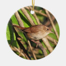 Recherche de roitelet ornements Nature