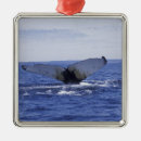 Suche nach buckelwal ornamente Meer