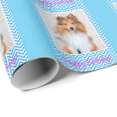 Recherche de sheltie papier cadeau Animal