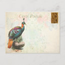 Recherche de oiseau exotique cartes postales Vintage