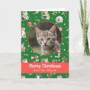 Recherche de de de chat noël cartes Aquarelle